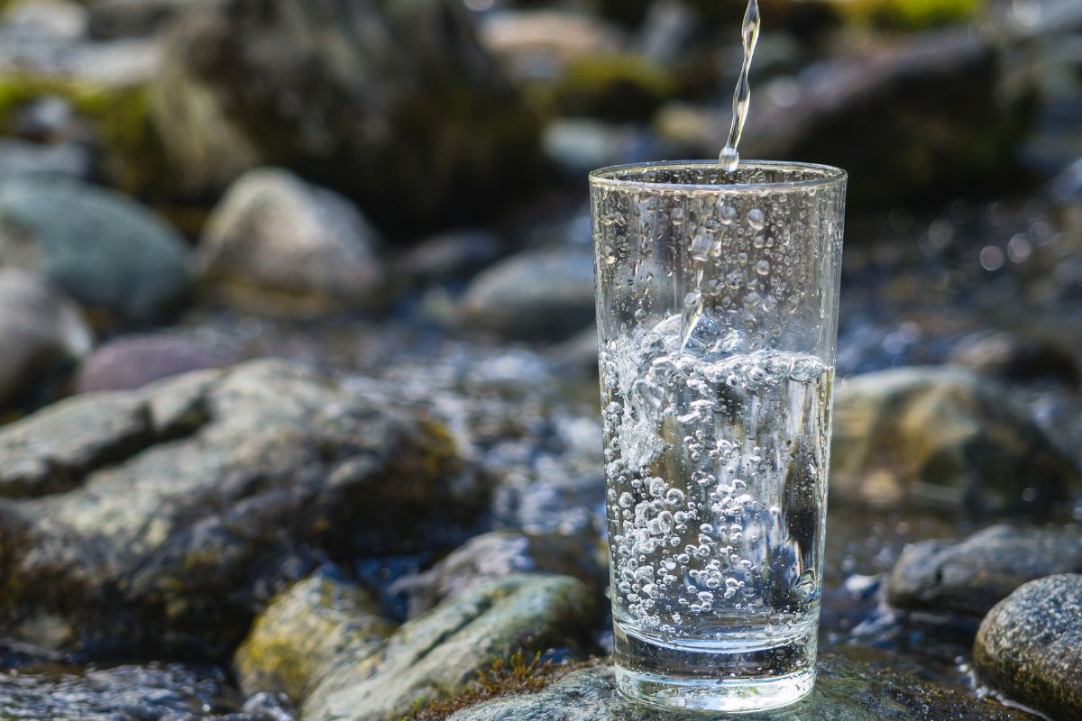 Minerals & Electrolytes